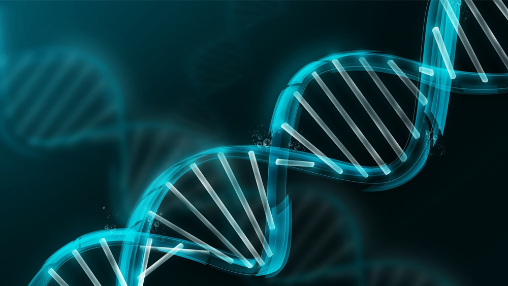 More Unique Human Genes Defy Evolution Narrative The Institute for